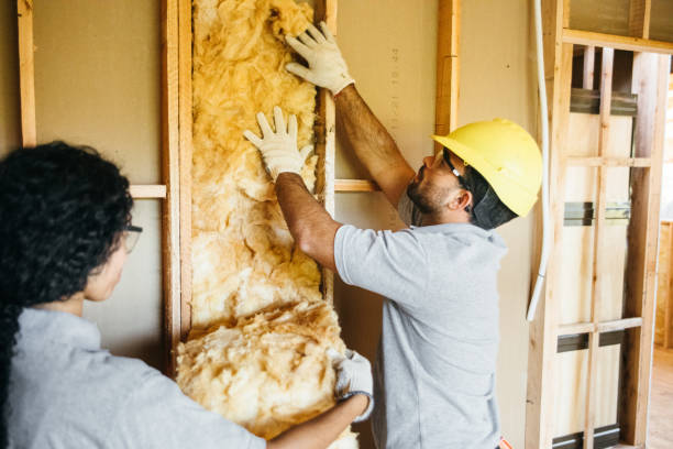 Best Garage Insulation Installation  in Dasher, GA