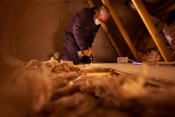 Insulation Repair Services in Dasher, GA